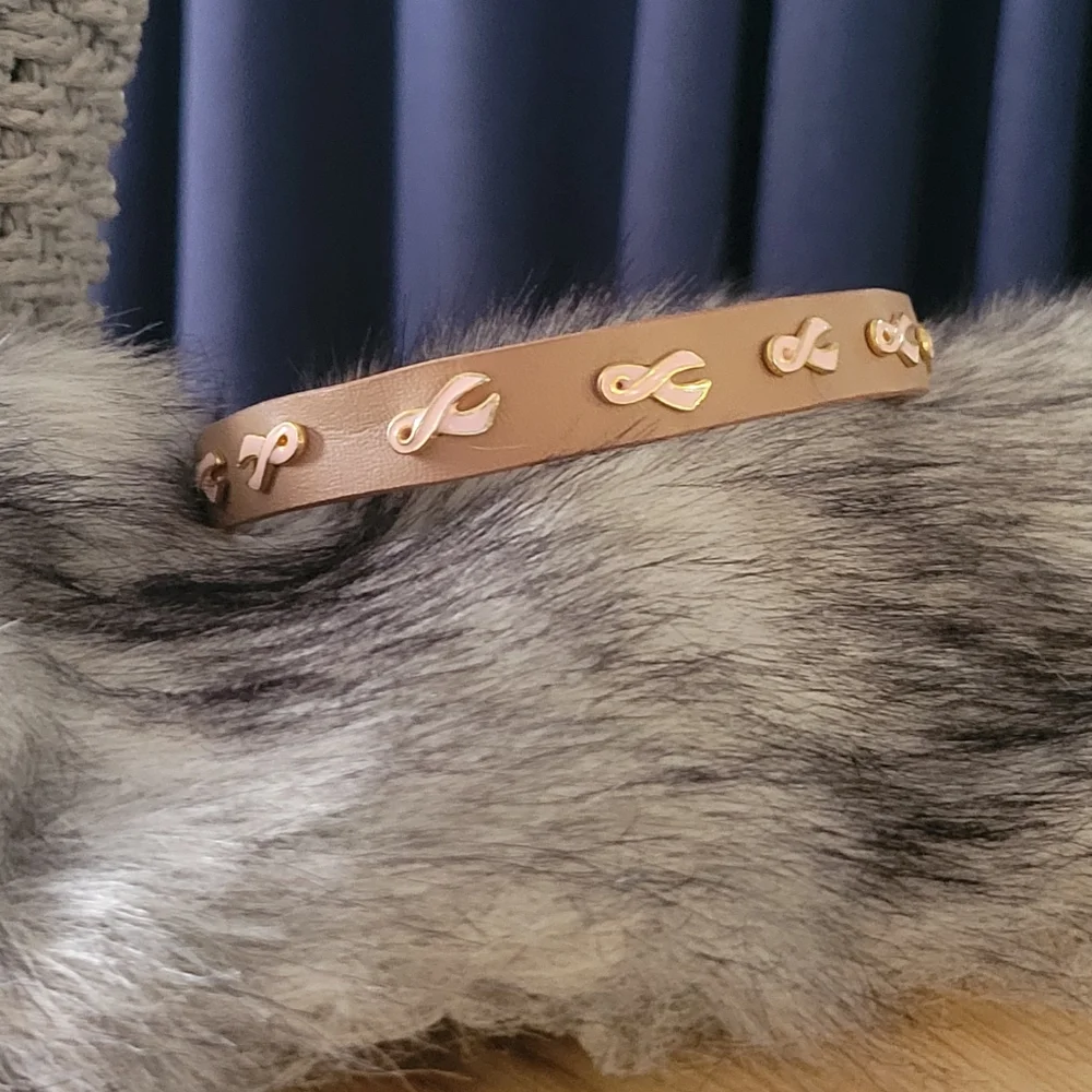 Dog collar, brown leather, breast cancer logo, 18